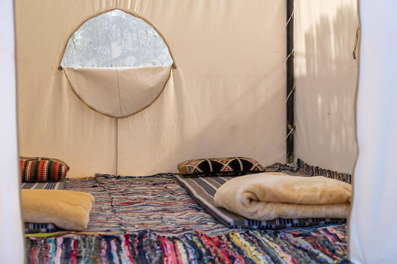 Northern Lake Lodge Izbat Ilyas Bagian luar foto