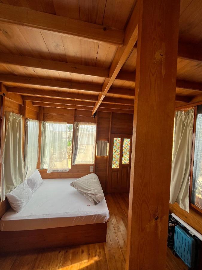 Northern Lake Lodge Izbat Ilyas Bagian luar foto