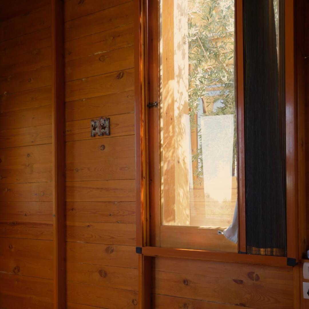 Northern Lake Lodge Izbat Ilyas Bagian luar foto